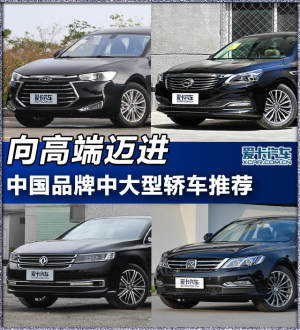 向高端迈进 四款中国品牌中大型车推荐