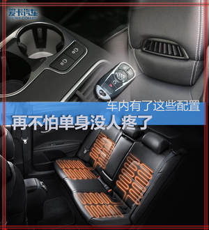 车内有了这些配置 再不怕单身没人疼了