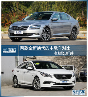 老树长新芽 两款全新换代的中级车对比