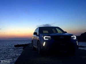 斯巴鲁新森林人STi预告图 11月25日首发