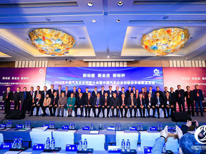 销量冷 降补贴 贸易战 2019车市何去从?