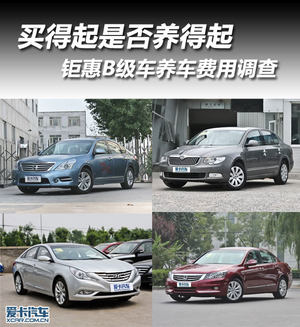 买得起是否养得起  钜惠B级车养车调查