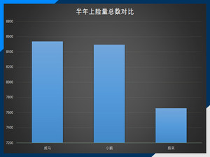 前6月上险量出炉 威马8536辆领跑新势力