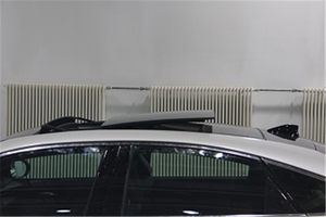 亚洲龙2.0L车型申报图曝光 价格有望下调 