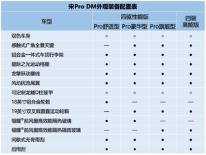 两种动力架构 宋Pro DM 四款车型配置曝光