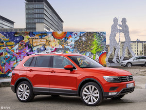 覆盖各细分市场 大众集团多款新SUV来袭