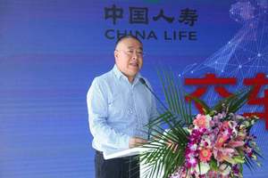 保险巨头的选择 中国人寿买走538辆卡罗拉