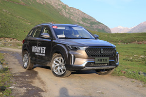 大屏/皮座儿/定速巡航都标配 奔腾T33信息