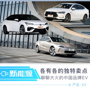 各有杀手锏   大火的中国品牌EV谁更强  