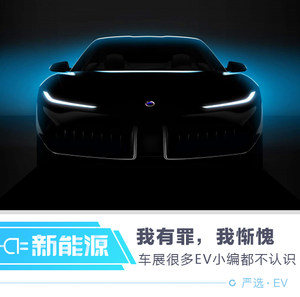 我有罪，我惭愧 上海车展半数EV小编都不认识