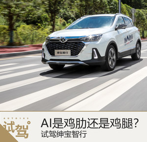 AI是鸡肋还是鸡腿? 试驾北汽绅宝智行