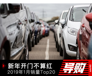 新年开门不算红 2019年1月销量Top20点评