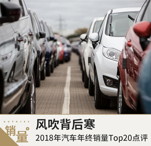 风吹背后寒  2018年汽车年终销量Top20点评