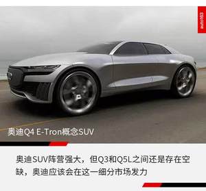 定能满足你的个性需求 奥迪Q4未来展望