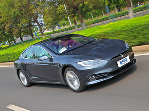 一头会抓鱼的熊 测特斯拉Model S 100D