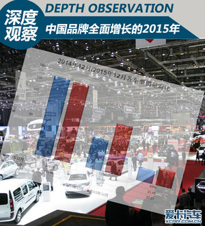 深度观察：中国品牌全面增长的2015年