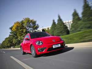 “虫”组基因 测试大众进口汽车甲壳虫