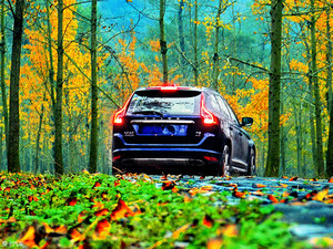 品味身边的秋色 沃尔沃XC60的感受之旅