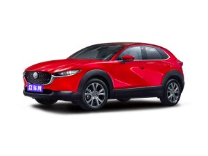 2022款 马自达CX-30 2.0L 自动尊悦型