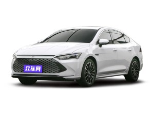 2021款 秦PLUS EV 500KM 尊贵型