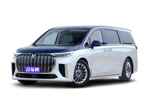 2024款 梦想家 PHEV 超长续航尊贵版