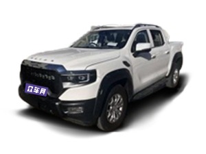 2023款 火星9 2.0T柴油自动四驱标轴尊享型4F20TC17