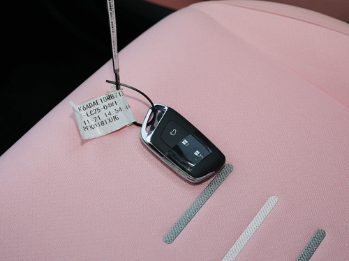 2021款 五菱NanoEV 迪士尼疯狂动物城JUDY限定款