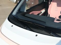 2021款 五菱NanoEV 迪士尼疯狂动物城JUDY限定款