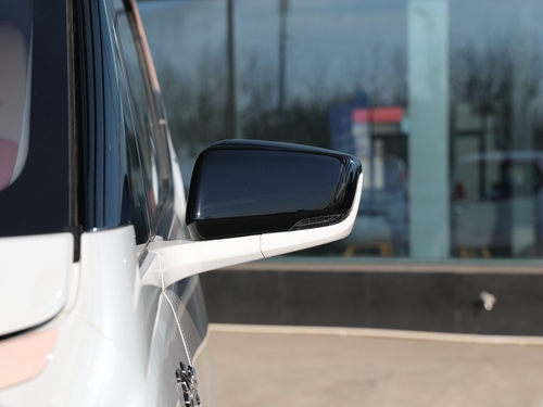 2021款 五菱NanoEV 迪士尼疯狂动物城JUDY限定款