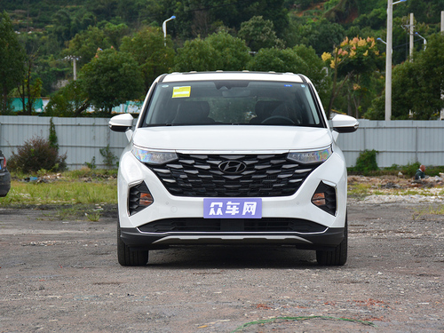 2021款 库斯途 380TGDi 智爱尊贵版 LUX Premium