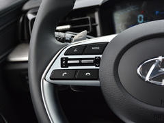 2021款 库斯途 380TGDi 智爱尊贵版 LUX Premium