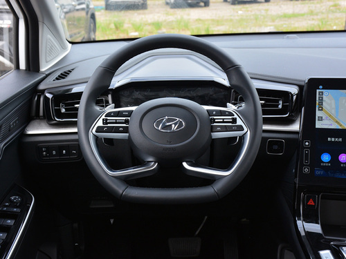 2021款 库斯途 380TGDi 智爱尊贵版 LUX Premium