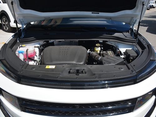 2021款 思皓QX 300T DCT尊贵智联型