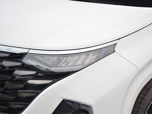 2021款 库斯途 380TGDi 智爱尊贵版 LUX Premium