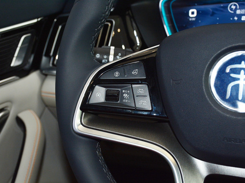 2021款 宋PLUS新能源 EV 旗舰型