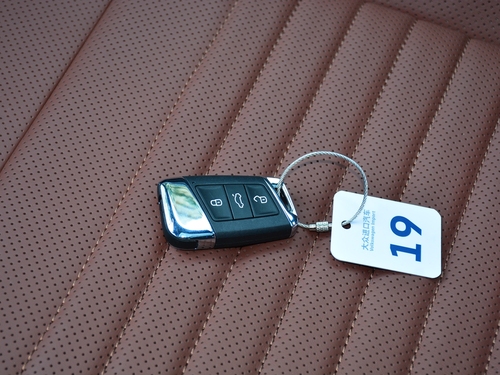 2021款 蔚揽 2.0T R-Line纵行版