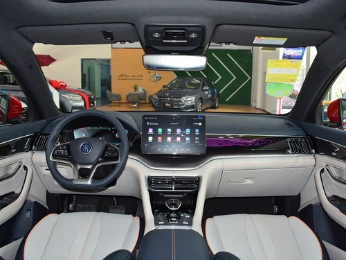 2021款 宋PLUS新能源 EV 旗舰型