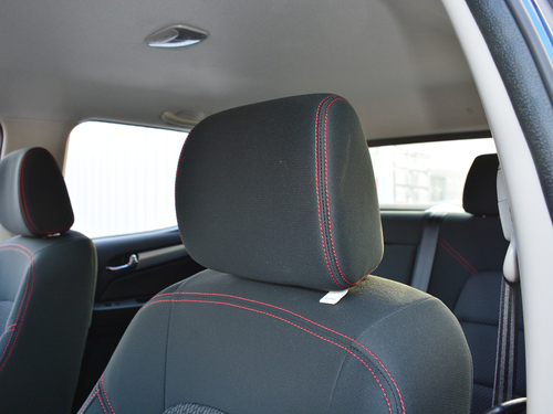 2018款 TAGA达咖 3.0T 两驱豪华版