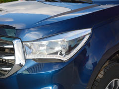 2018款 TAGA达咖 3.0T 两驱豪华版