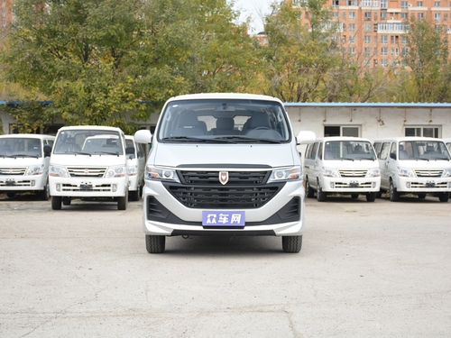 2021款 金杯海狮王 2.0L商务王系列舒享型标准顶9座1TZS