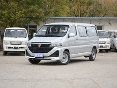 2021款 金杯海狮王 2.0L商务王系列舒享型标准顶9座1TZS