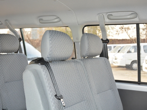 2021款 金杯海狮王 2.0L商务王系列舒享型标准顶9座1TZS