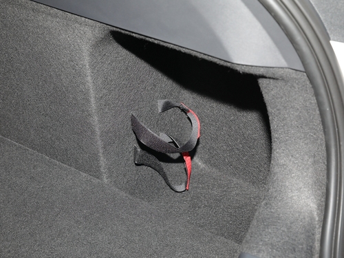 2022款 EVOS  EcoBoost 245 运动版