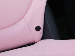 2021款 五菱NanoEV 迪士尼疯狂动物城JUDY限定款