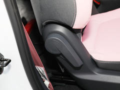 2021款 五菱NanoEV 迪士尼疯狂动物城JUDY限定款