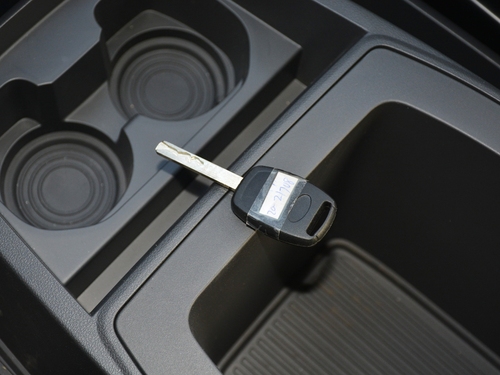 2021款 金杯海狮王 2.0L商务王系列舒享型标准顶9座1TZS