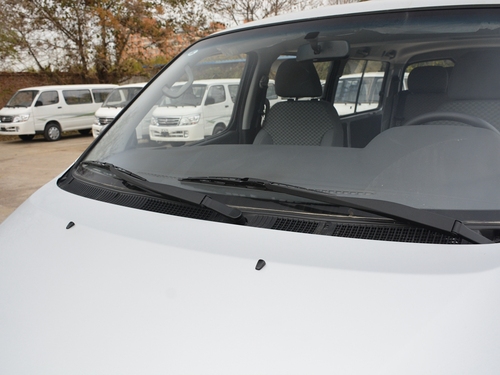 2021款 金杯海狮王 2.0L商务王系列舒享型标准顶9座1TZS