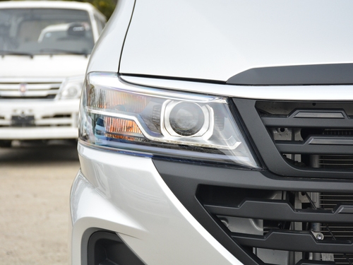 2021款 金杯海狮王 2.0L商务王系列舒享型标准顶9座1TZS