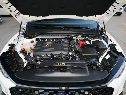 2022款 EVOS  EcoBoost 245 运动版