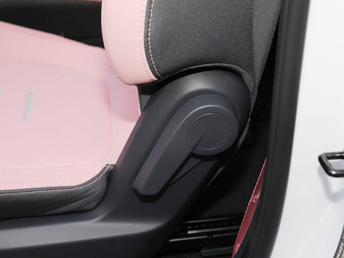 2021款 五菱NanoEV 迪士尼疯狂动物城JUDY限定款